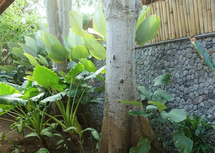 6 Bdrms Villa, Bingin Bali - Lunala